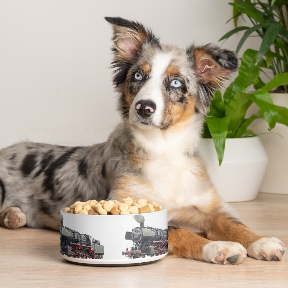 Item preview, Pet Bowl designed and sold by roggcar.