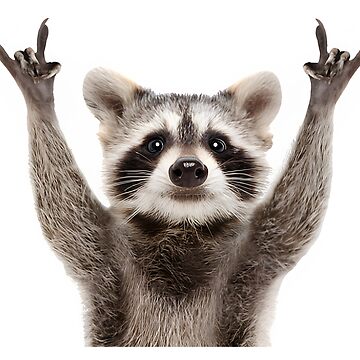 Artwork thumbnail, Raccoon Rock Sign by stickersworld31