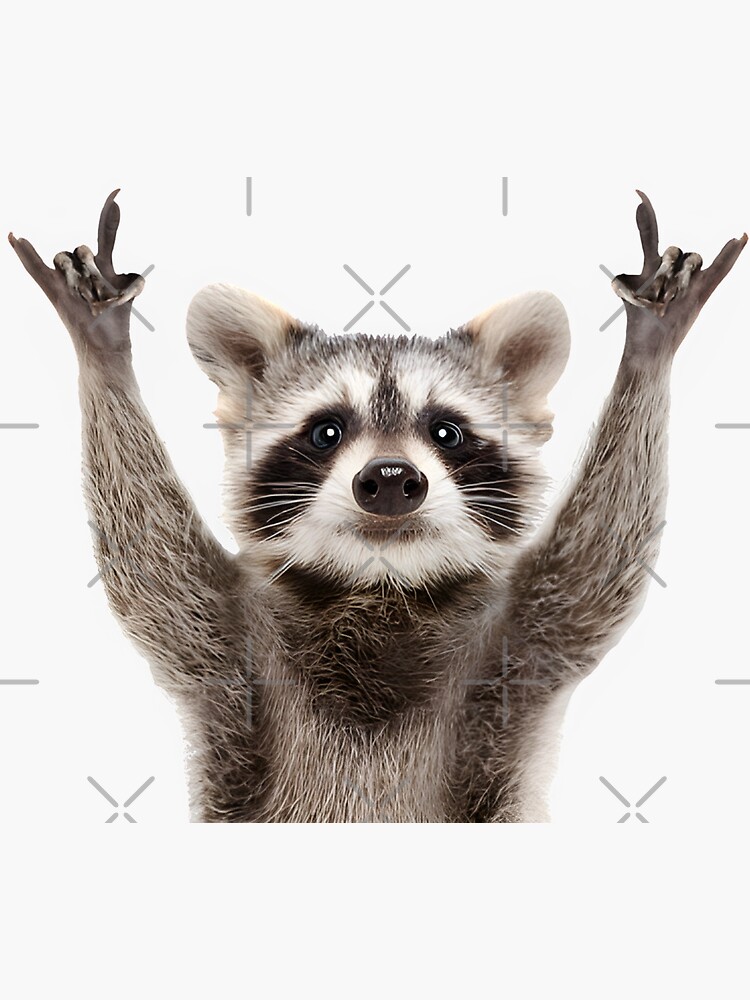 Thumbnail 3 of 3, Sticker, Raccoon Rock Sign designed and sold by stickersworld31.
