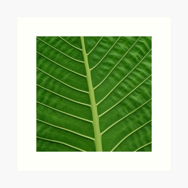 Item preview, Tropical Rainforest Costa Rican Taro Leaf Close-Up designed and sold by DEC02.