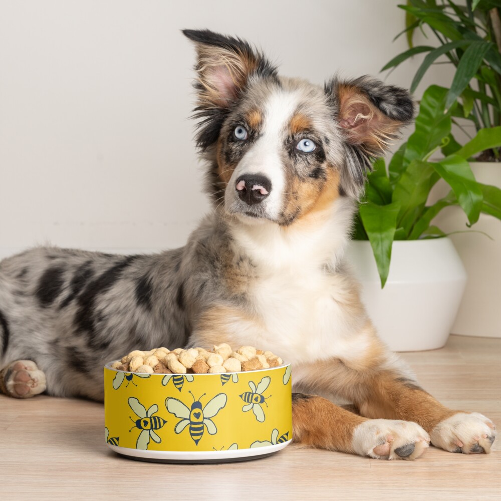 Honey Makers Pet Bowl