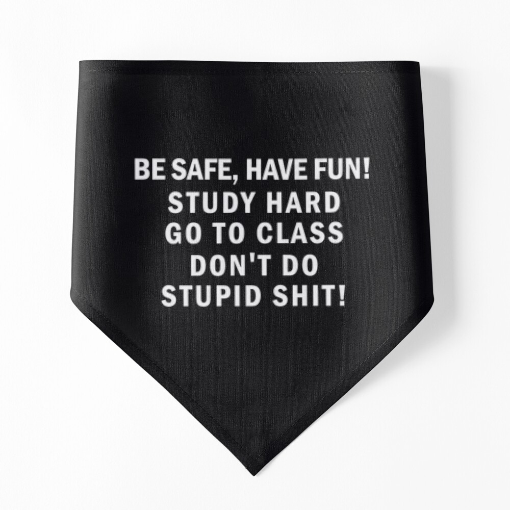 Be Safe Have Fun Don't Do Stupid Funny Keychain Gift for Kids