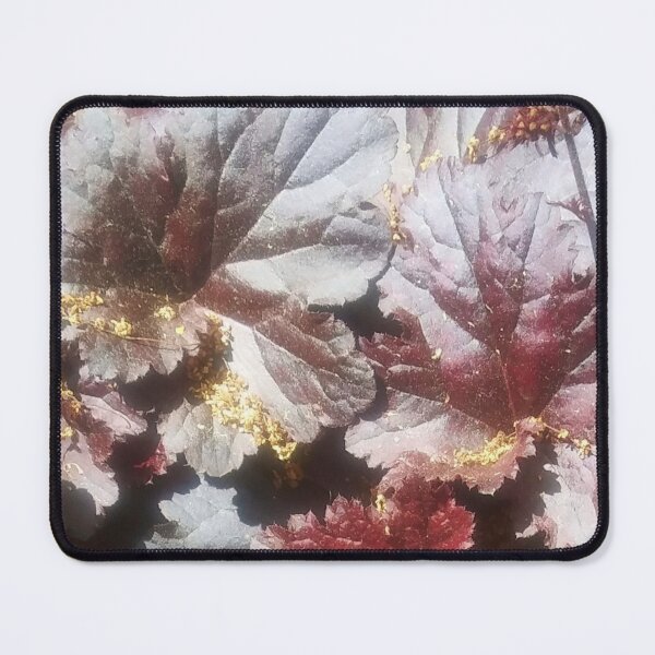Item preview, Coral Bell Flowers- Photograph designed and sold by marvacousins246.