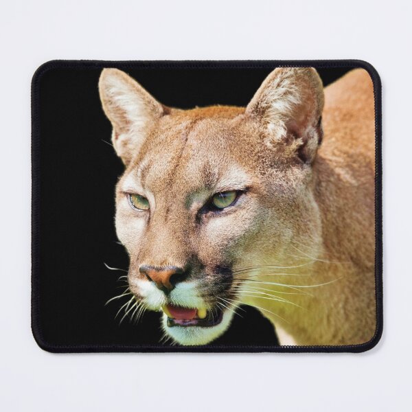 Item preview, mountain big wild puma designed and sold by profound90.