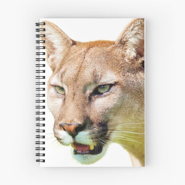 Item preview, mountain big wild puma designed and sold by profound90.
