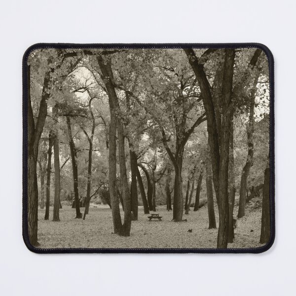 Item preview, Abiquiu Fall Cottonwoods designed and sold by klindsey.