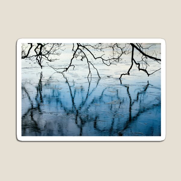 Frozen Lake Reflections Magnet