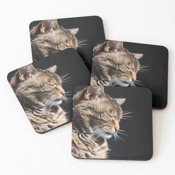 Item preview, Cute cat basking in the sun designed and sold by OhBabyShopAway.