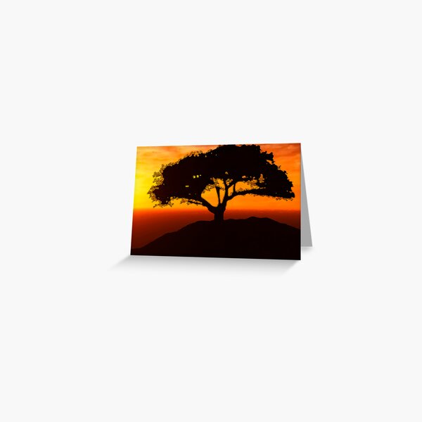 African Savanna Greeting Card