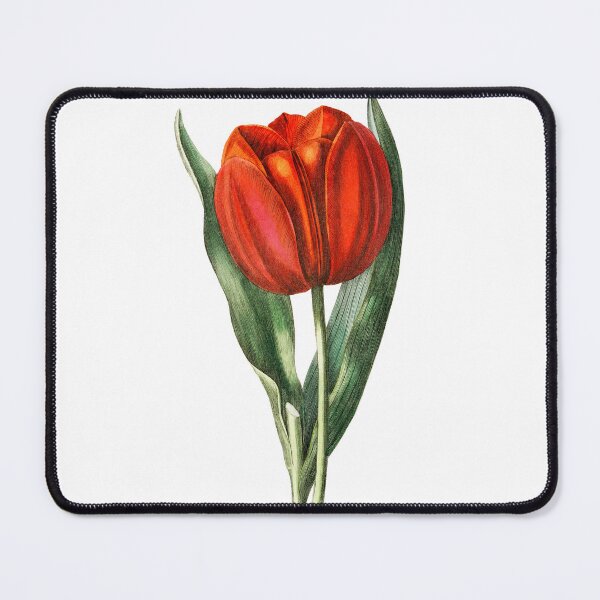 Item preview, Vintage Red Tulip designed and sold by SuziQPrayers427.