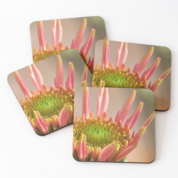 Item preview, Coneflower Pastels designed and sold by okomedesign.