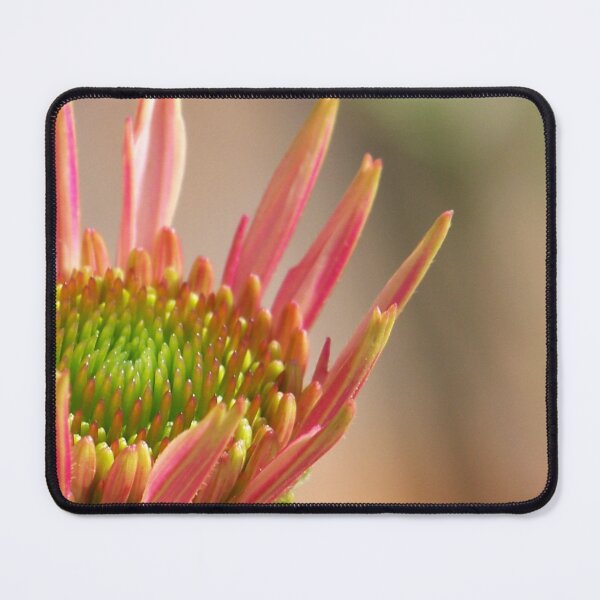 Item preview, Coneflower Pastels designed and sold by okomedesign.