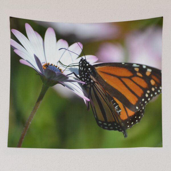 Item preview, Monarch and the Daisy designed and sold by lizdomett.