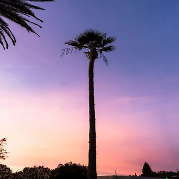 Artwork thumbnail, Sunset by Firstpharm