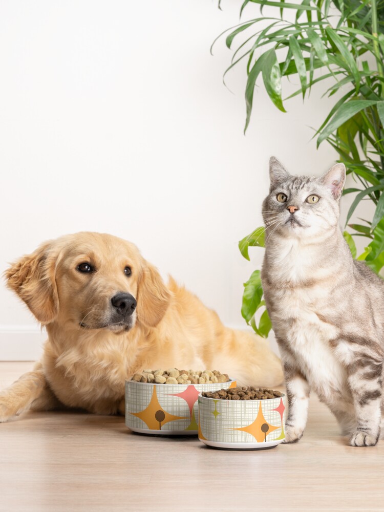 Alternate view of Eames Era Starbursts and Globes 3 (bkgrnd) Pet Bowl
