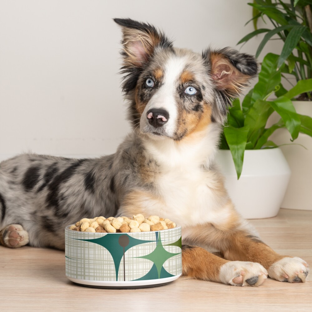 Item preview, Pet Bowl designed and sold by Makanahele.