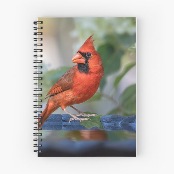 Item preview, Cardinal on Bird Bath in Late Summer designed and sold by Bonnie T.  Barry.