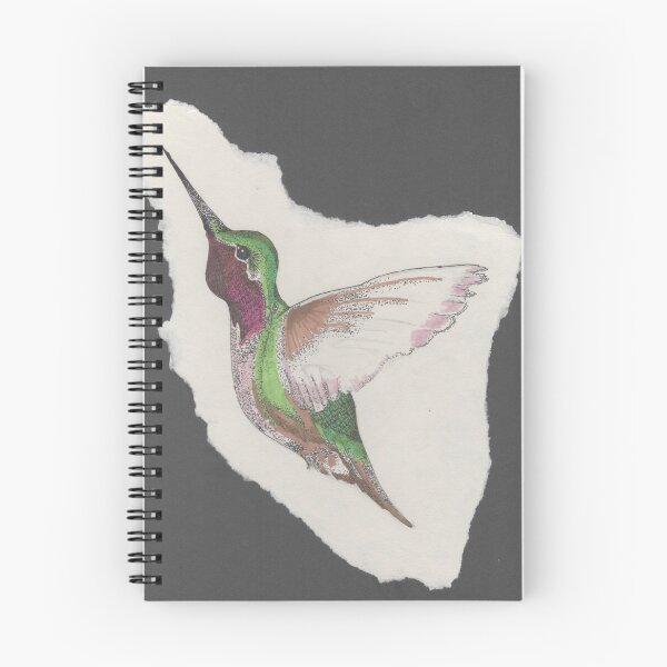 Artikelvorschau, Kolibri entworfen und verkauft von jdillaart.