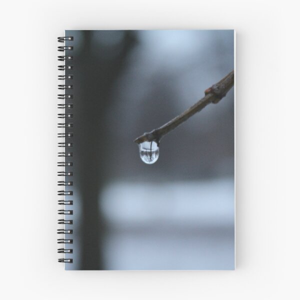 Item preview, Hanging drop of water reflects the trees designed and sold by craftycatmom.