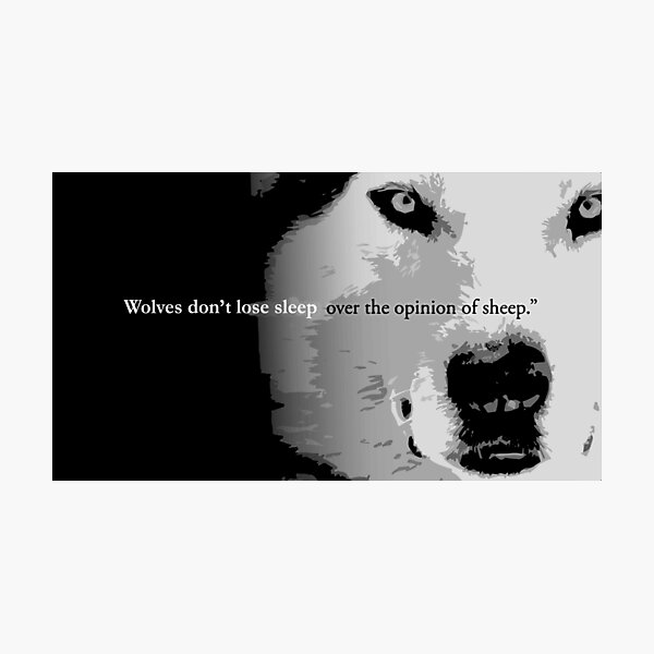 Wolves don't lose sleep over the opinion of sheep Photographic Print