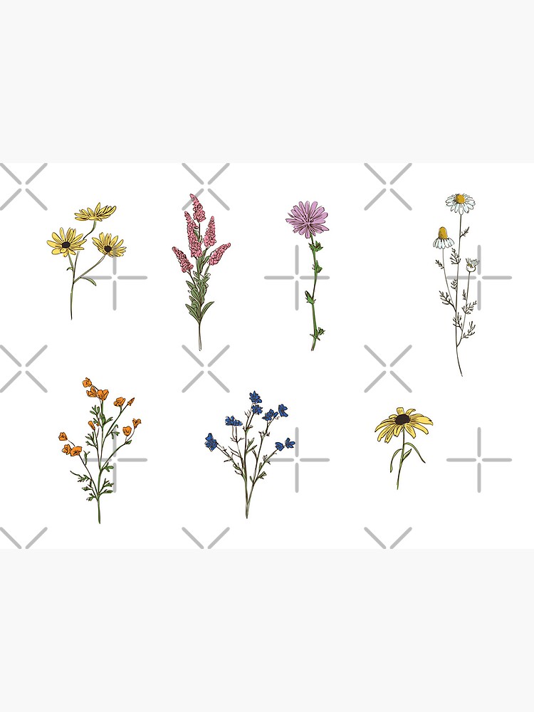 Handdrawn Wildflower Stickers | Art Board Print