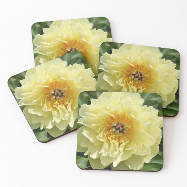 Item preview, sunlit peony designed and sold by okomedesign.