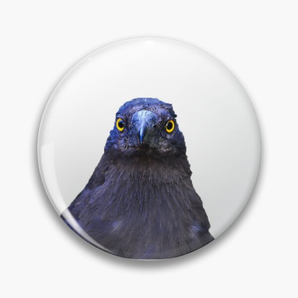 Item preview, Judgemental Bird - Currawong designed and sold by Captain Met.