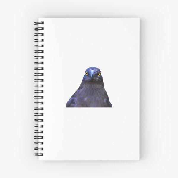 Item preview, Judgemental Bird - Currawong designed and sold by Captain Met.