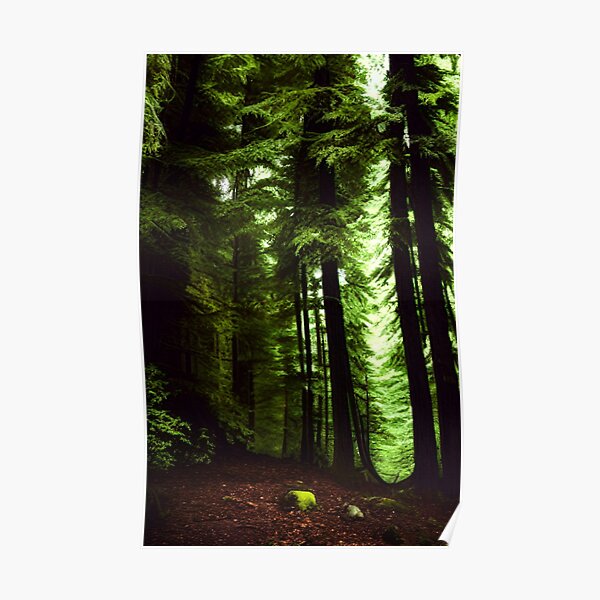 "Evergreen" Poster for Sale by FNADesigns Redbubble