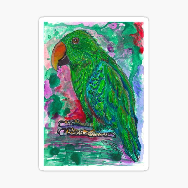 Green Eclectus Parrot Watercolor Sticker
