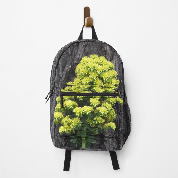 Item preview, Aeonium flowers designed and sold by greentiger1.