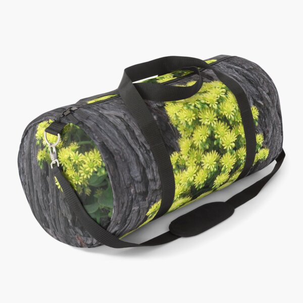 Item preview, Aeonium flowers designed and sold by greentiger1.