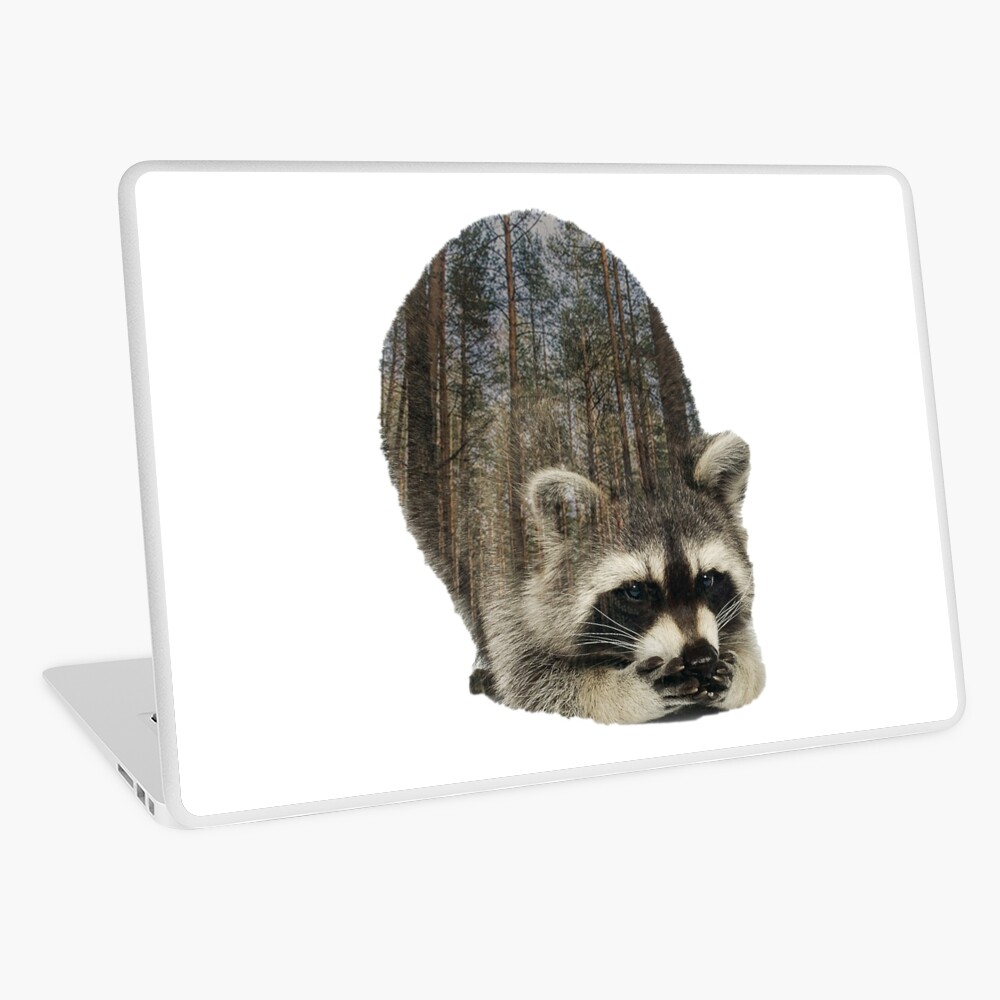 Trash Talker Raccoon Sticker for Sale by PeachesMommy