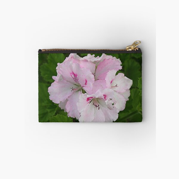 Item preview, Pale pink Pelargonium flower in bloom designed and sold by FranWest.