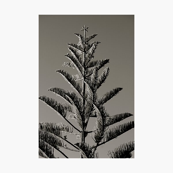 Item preview, Star Tree designed and sold by Faith Barker Photography.