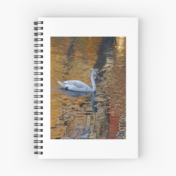 Item preview, Reflecting designed and sold by Kirstyshots.
