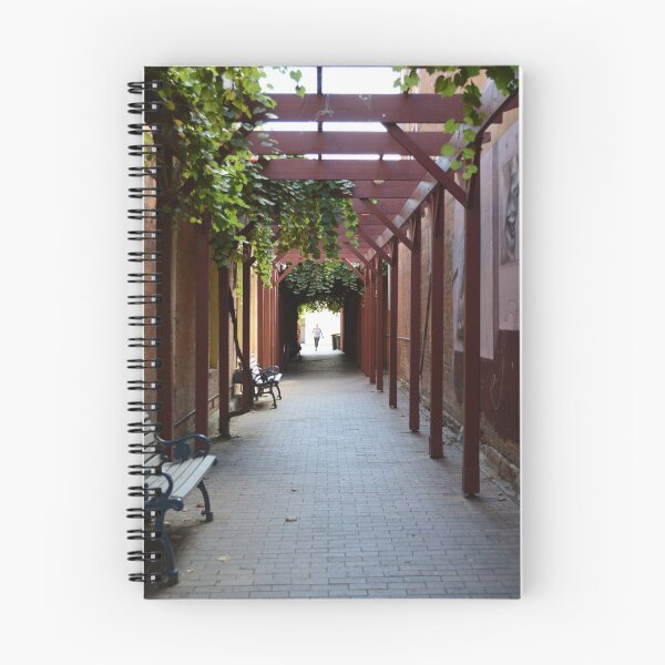 Item preview, A pedestrian thoroughfare - Benalla designed and sold by Kerry LeBoutillier.