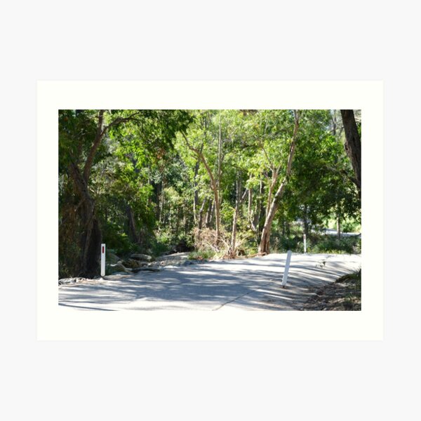 Country road South East Queensland Art Print