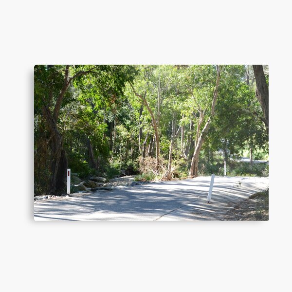 Country road South East Queensland Metal Print