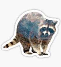 Curiosity Sticker