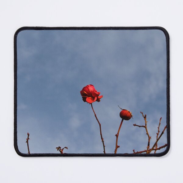 Item preview, Red rose on blue sky designed and sold by craftycatmom.