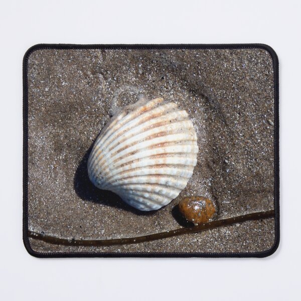 Item preview, shell designed and sold by KathleenDawson.