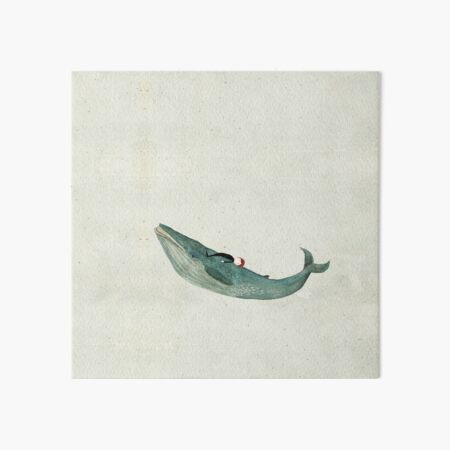 Blue whale rider Art Board Print