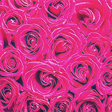 Artwork thumbnail, Bundle Of Roses by Inyeneart