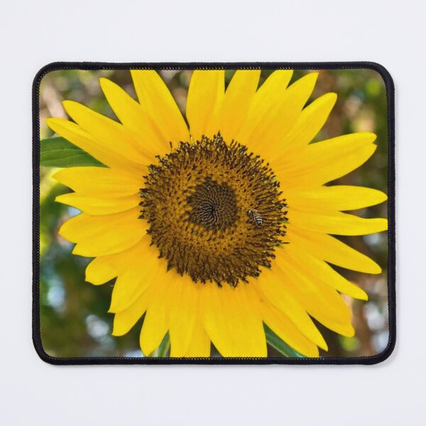 Item preview, American Giant Sunflower designed and sold by Sirenia Designs.