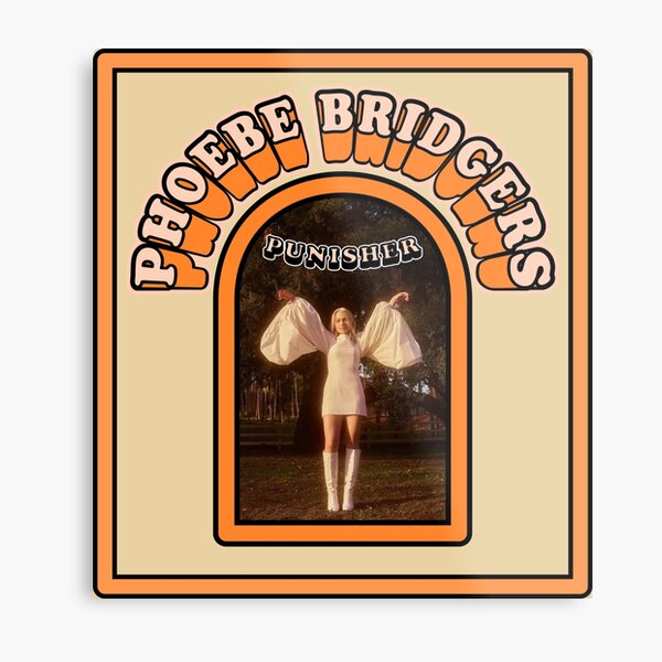 Stream punisher - phoebe bridgers cover by blrrry