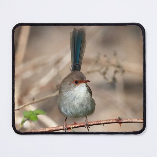 Item preview, 9572 Female Wren,  Jenny Wren. Tasmania designed and sold by Simon  King.