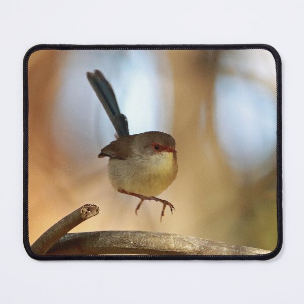 Item preview, 9591 Jenny Wren Tasmania designed and sold by Simon King.