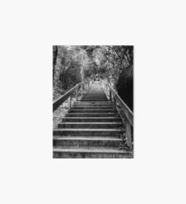 Dipsea Stairs Art Board