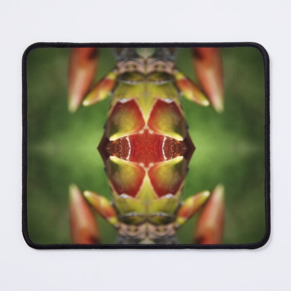 Item preview, Lignum Insectum designed and sold by MittyDesques.